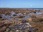 Windward reef margin at low spring tide. Mangrove swamp is visible in the background.